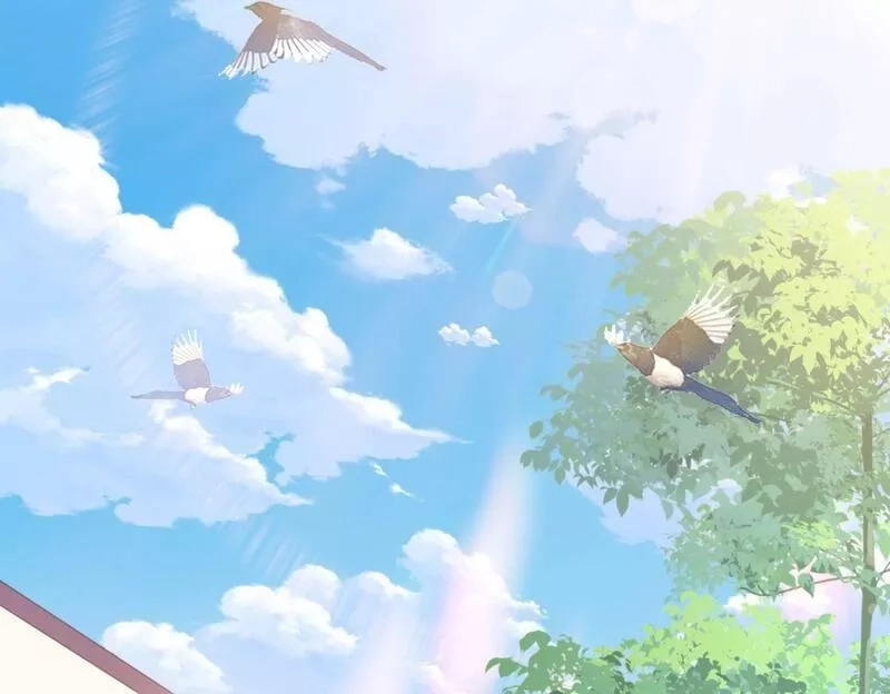 我的卡牌无限强化,第2话 第二张卡牌,第52张